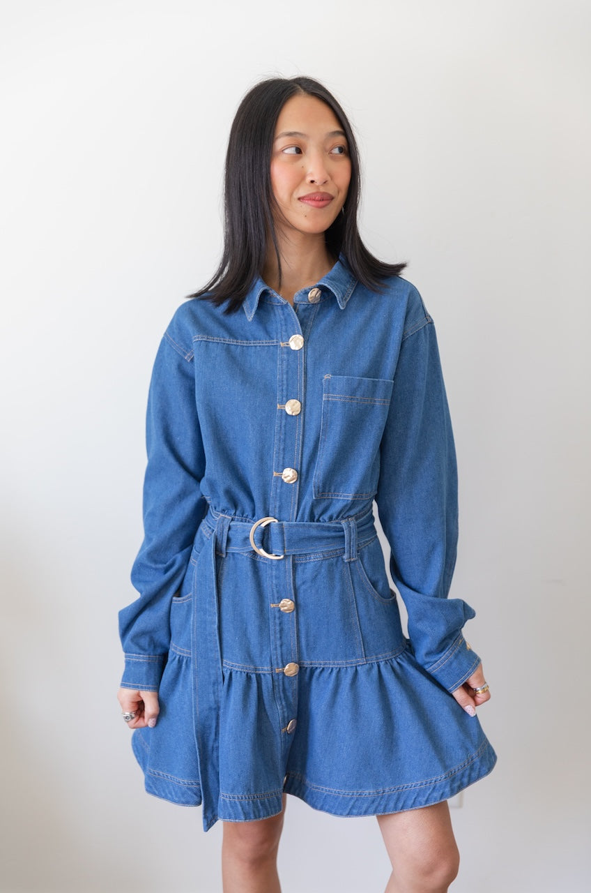 Long Sleeve Denim Button Down Mini Dress