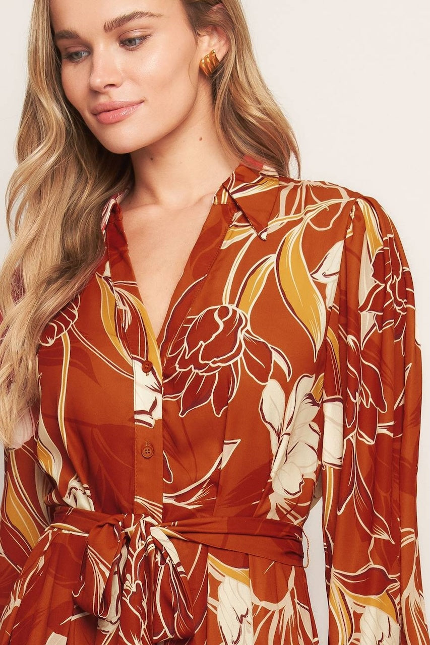 Fall Collared Midi Dress