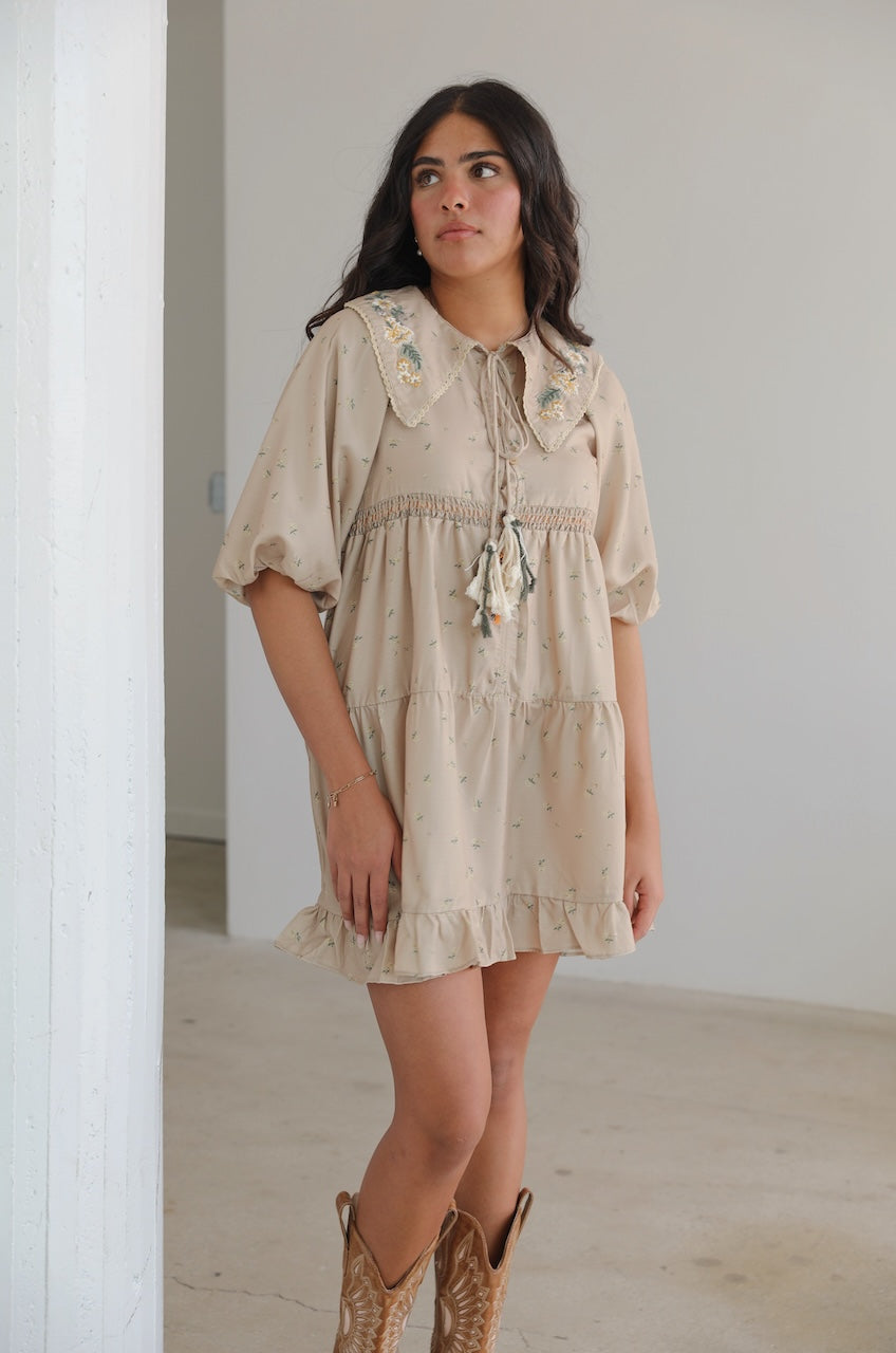 beige Embroidered Boho Puff Sleeve Babydoll Mini Dress