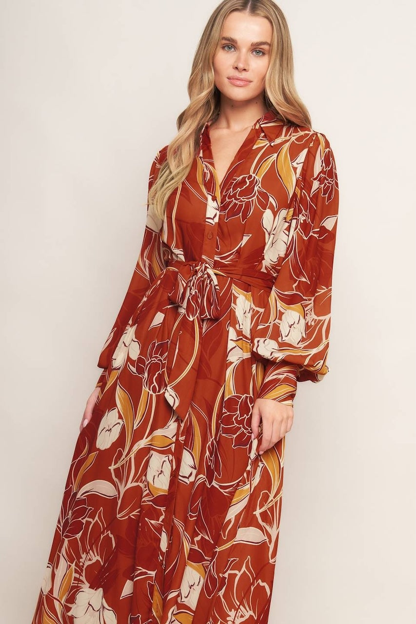 Fall Collared Midi Dress