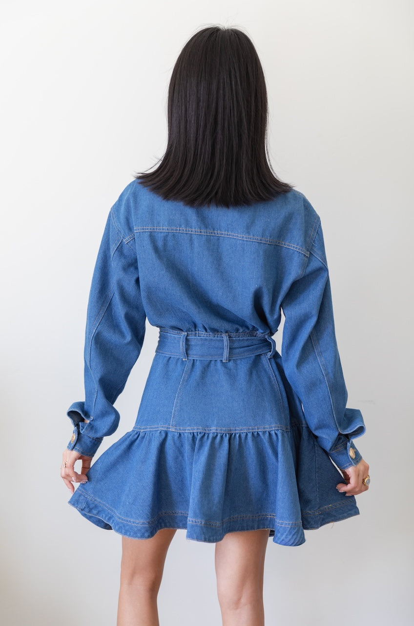 Long Sleeve Denim Button Down Mini Dress
