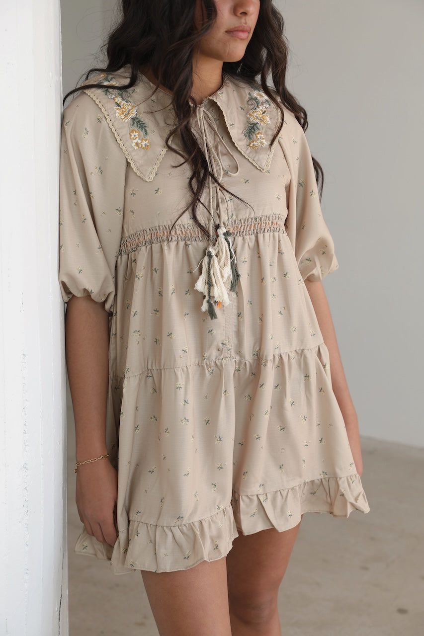 Embroidered Peter Pan Collar Dress