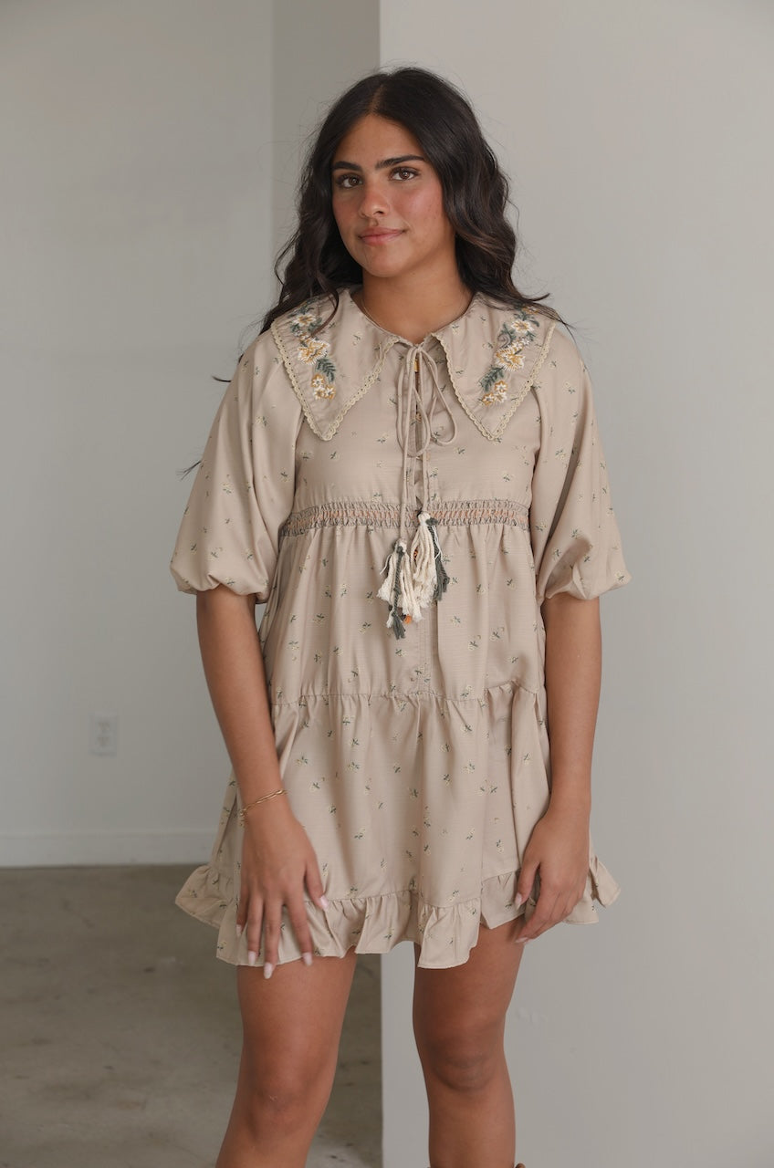 beige Embroidered Boho Puff Sleeve Babydoll Mini Dress