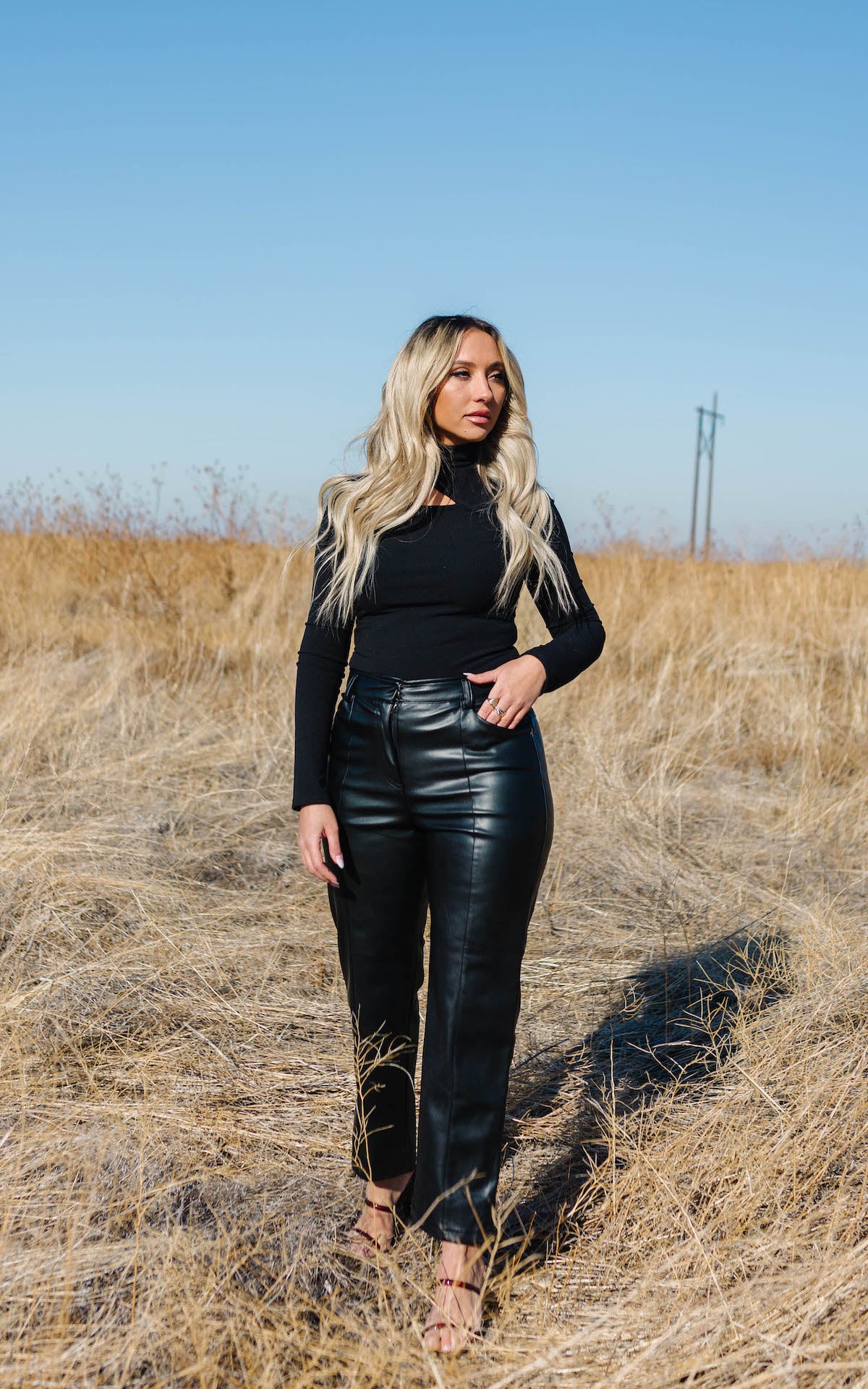 Holly High Waisted Faux Leather Pants