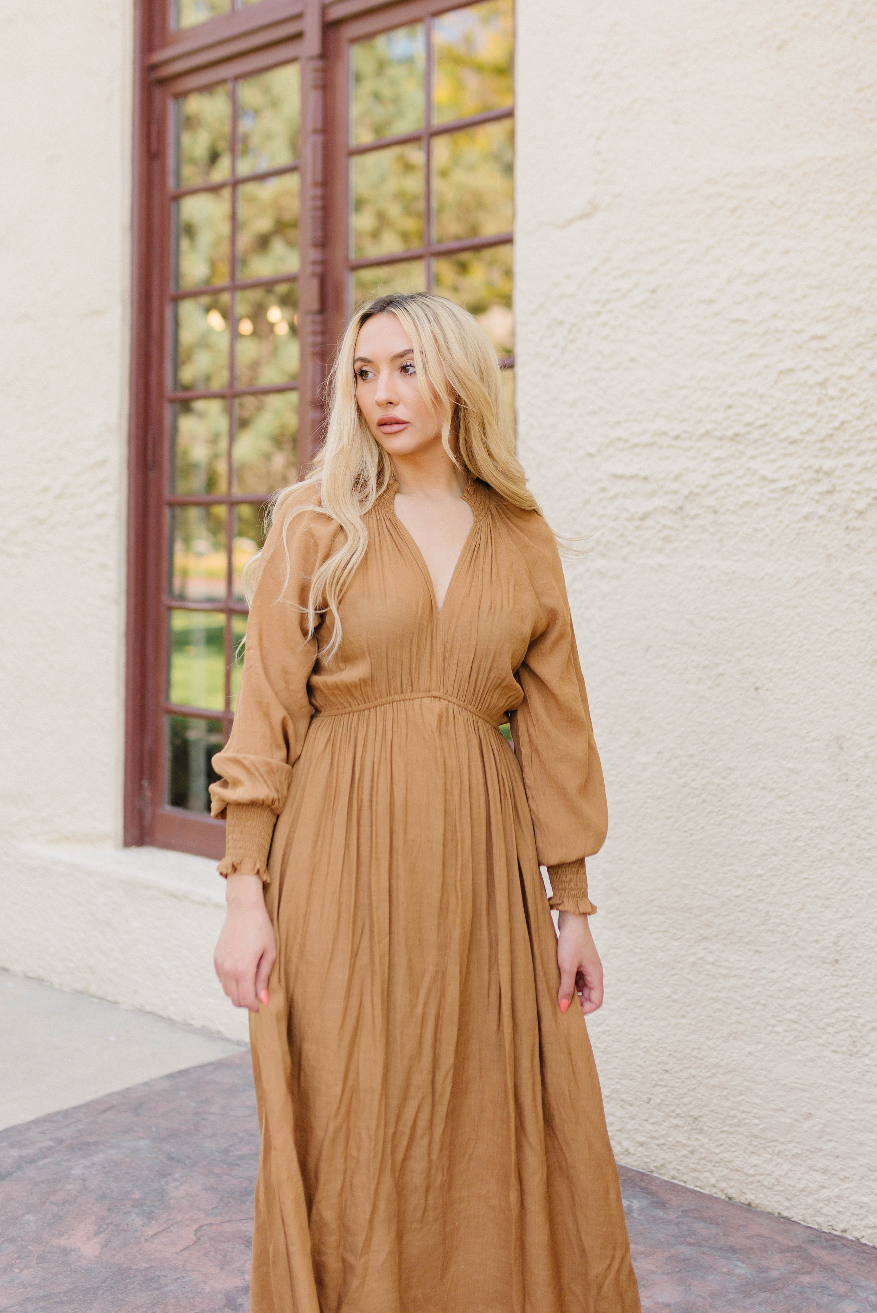 Natural Hues Maxi Dress - Brown