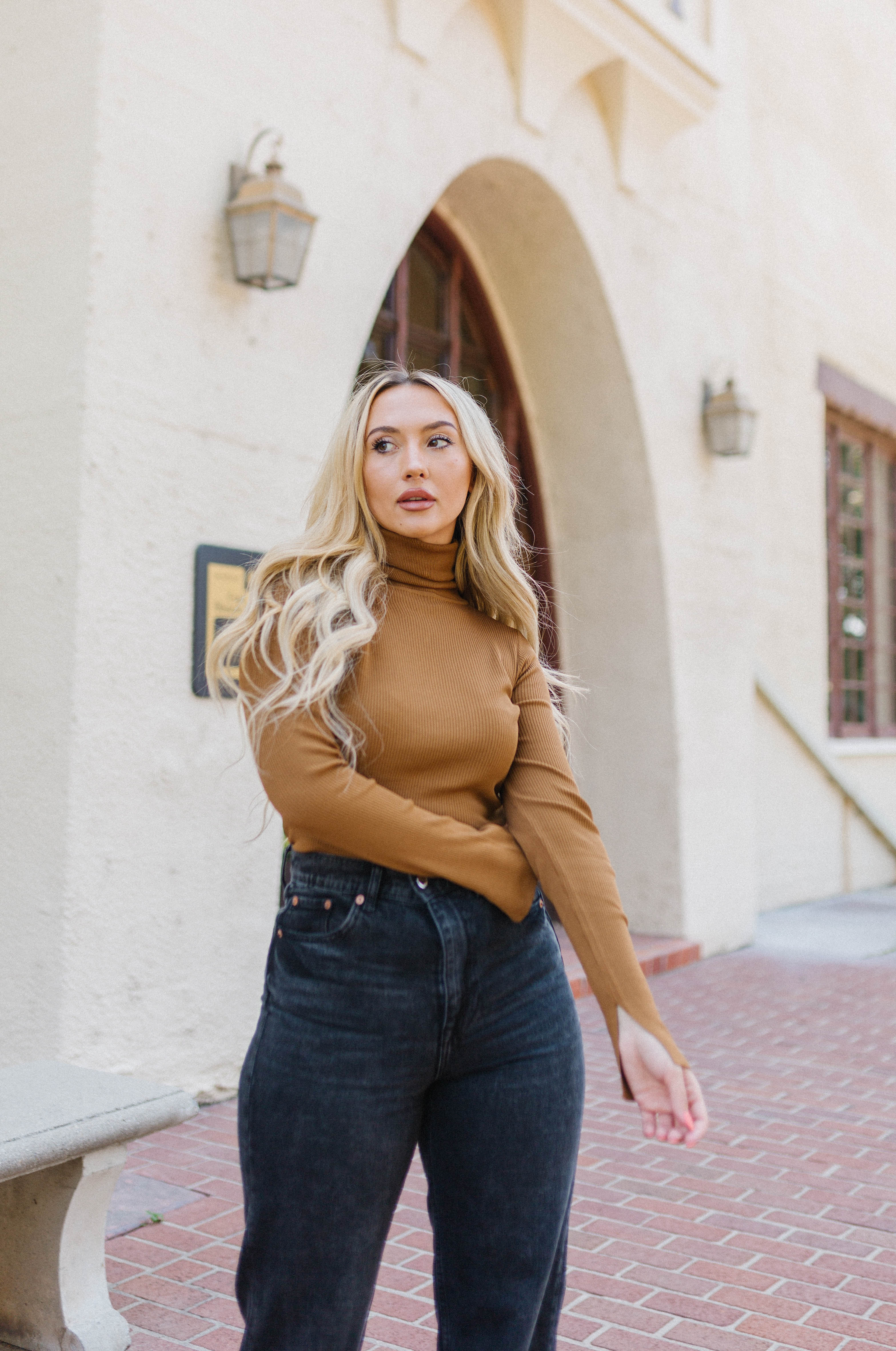 Essential Knit Turtleneck Top - Brown