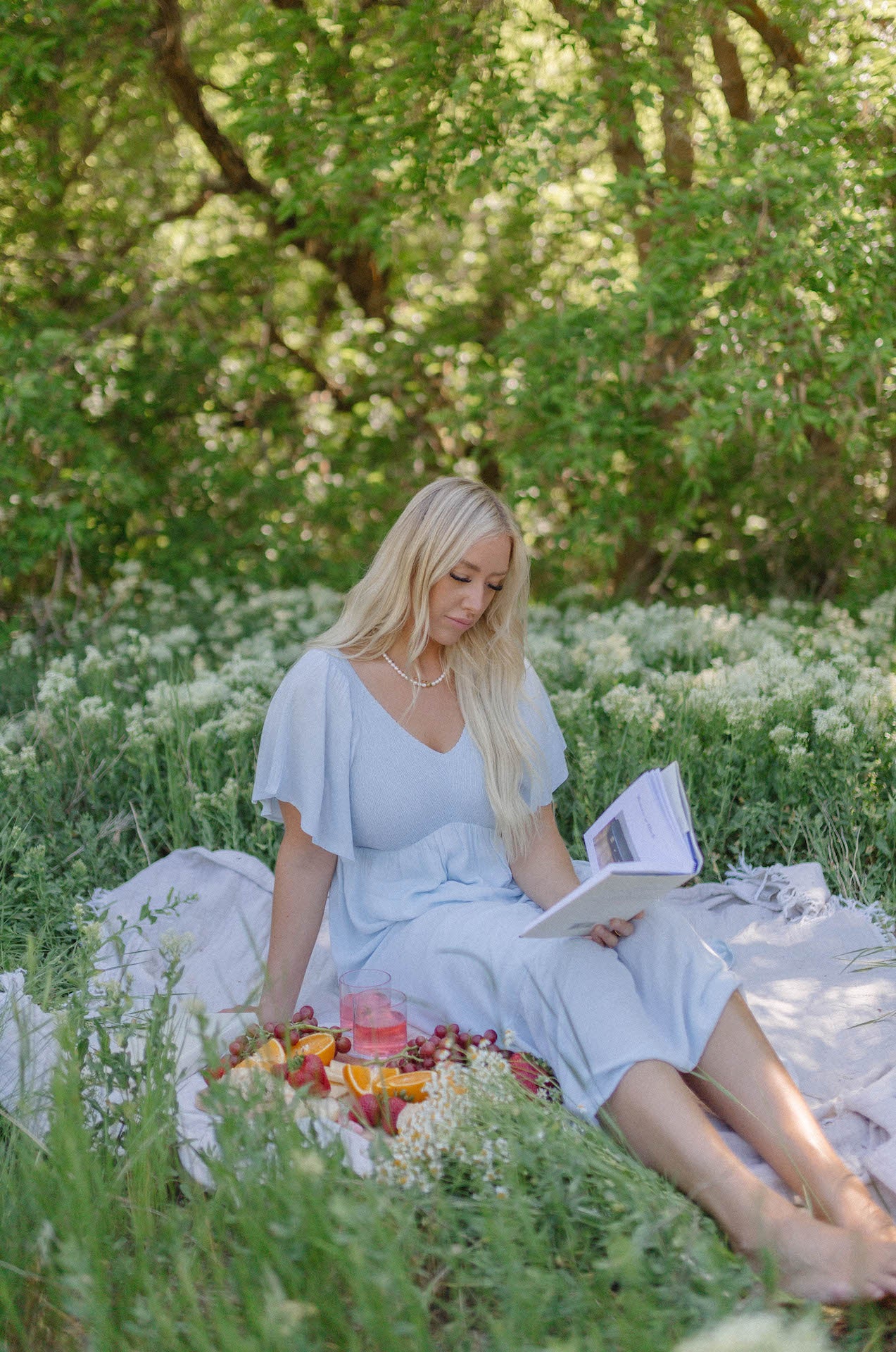 picnic style dresses