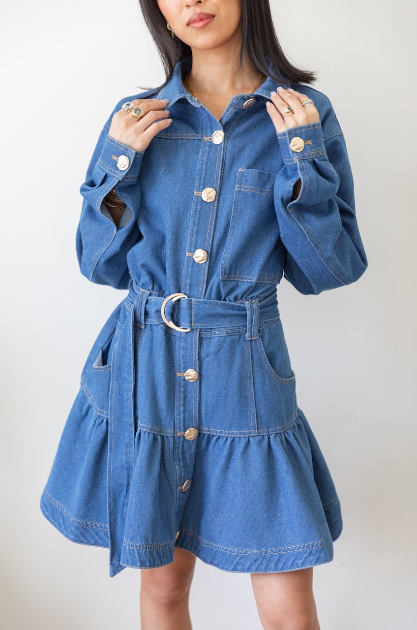 Long Sleeve Denim Button Down Mini Dress