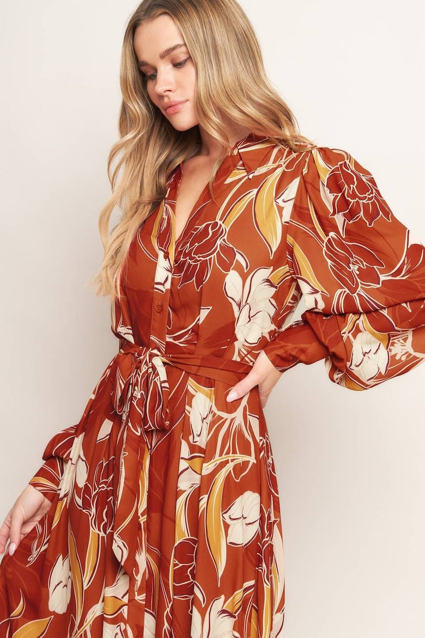 Fall Collared Midi Dress