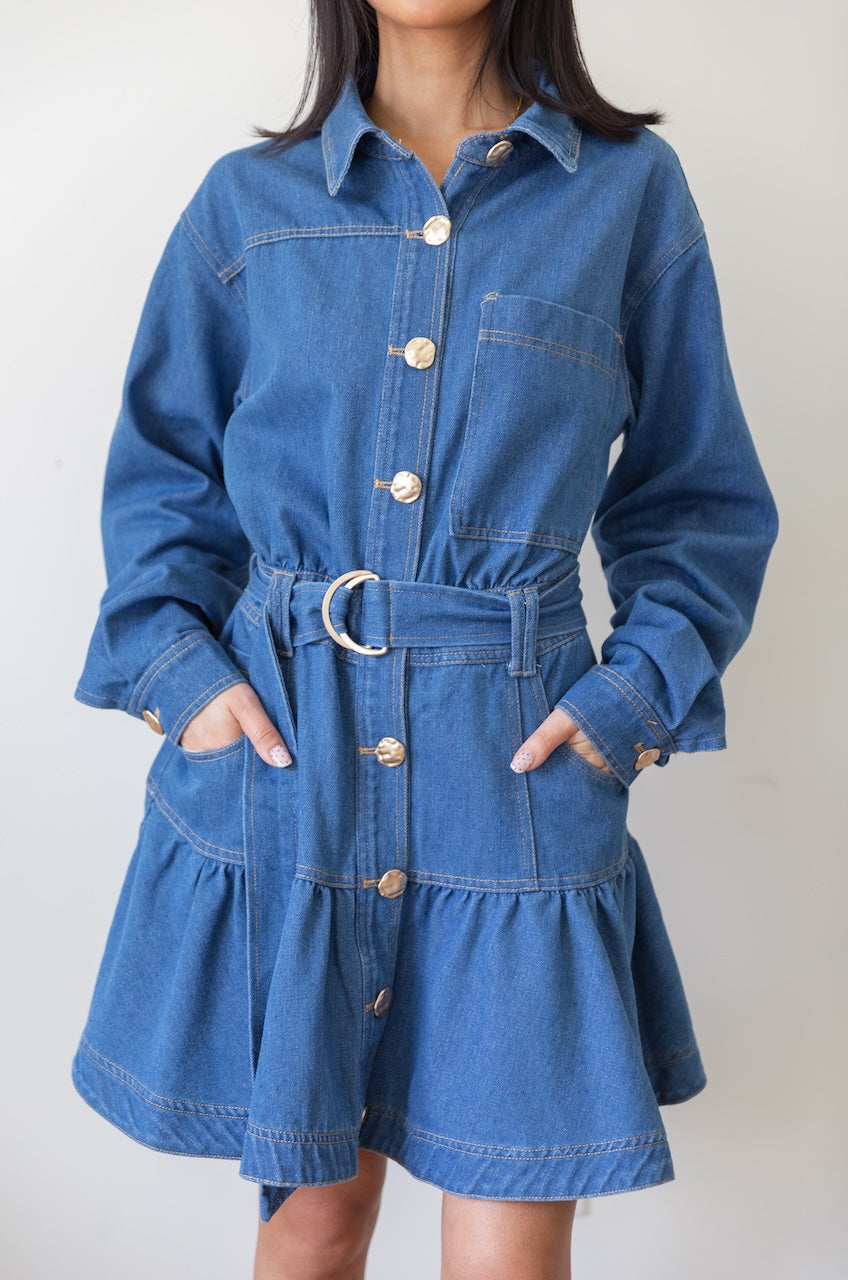 Long Sleeve Denim Button Down Mini Dress