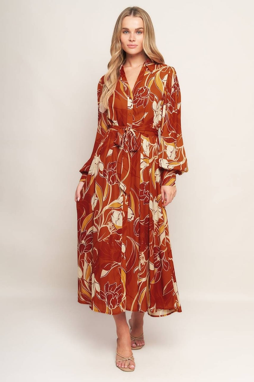 Fall Collared Midi Dress