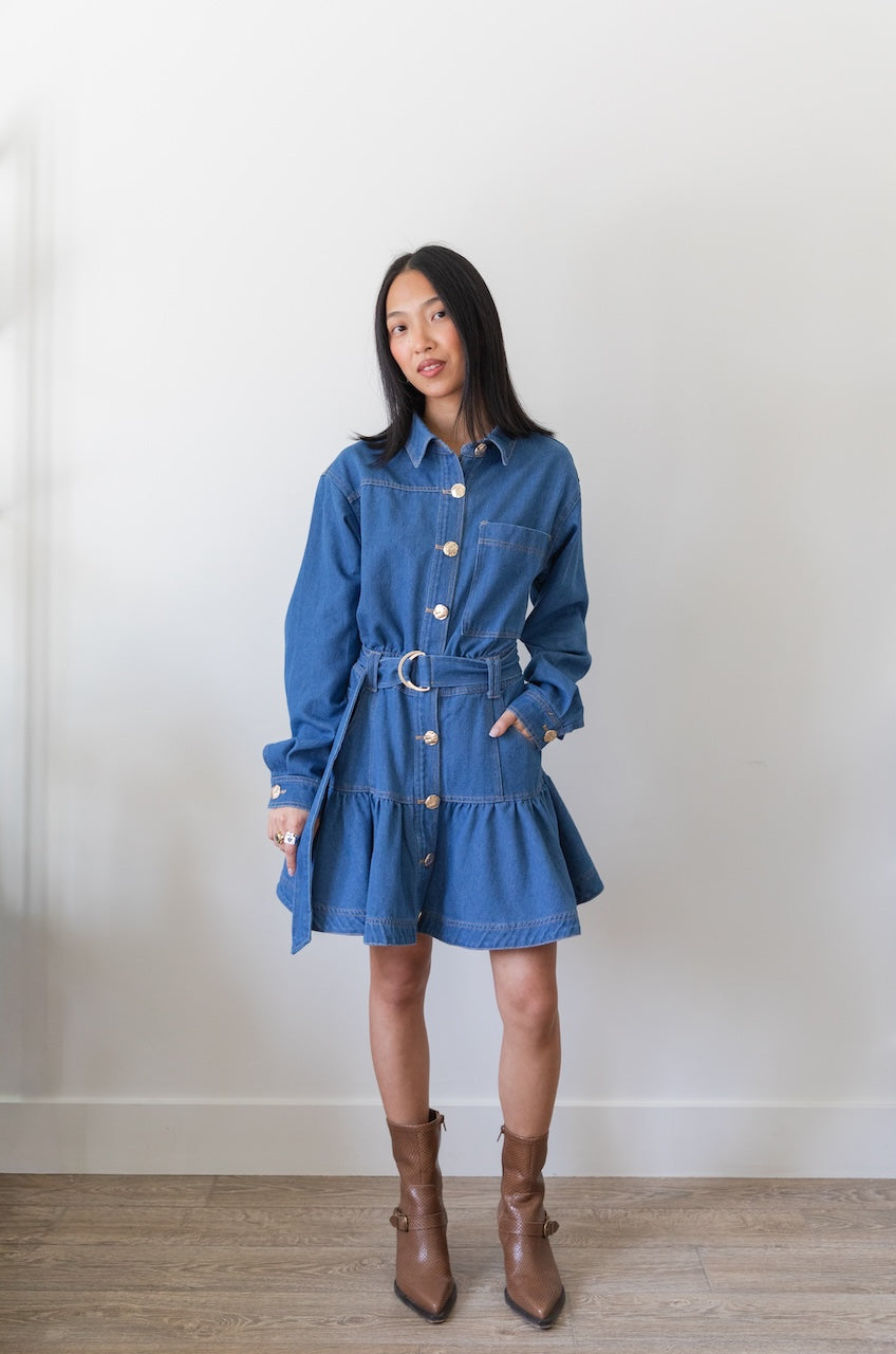 Long Sleeve Denim Button Down Mini Dress