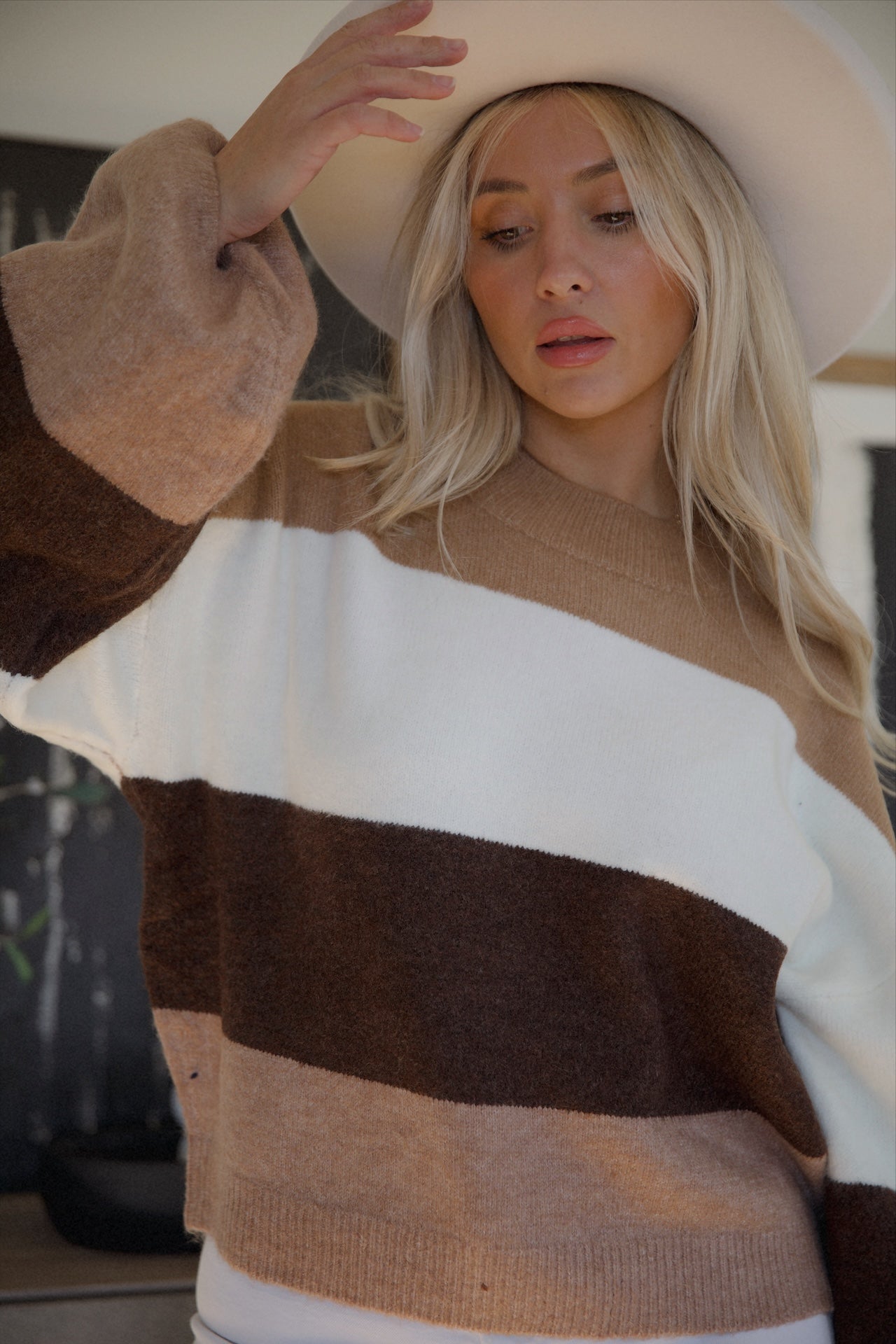 Brown Striped Colorblock Sweater