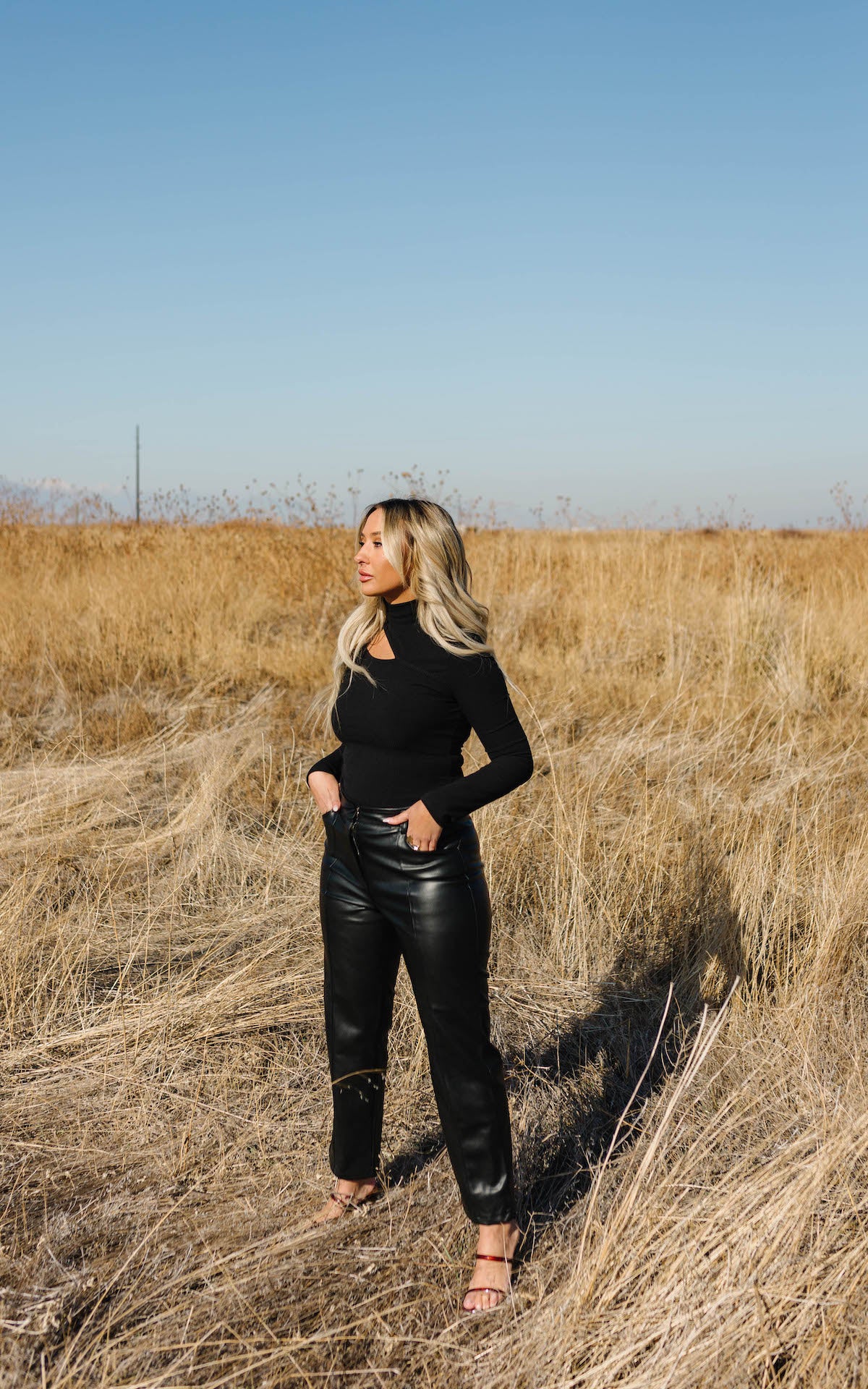 Holly High Waisted Faux Leather Pants